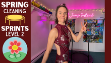 Load image into Gallery viewer, Spring Cleaning Training | Complete Package | Levels 1, 2 & 3